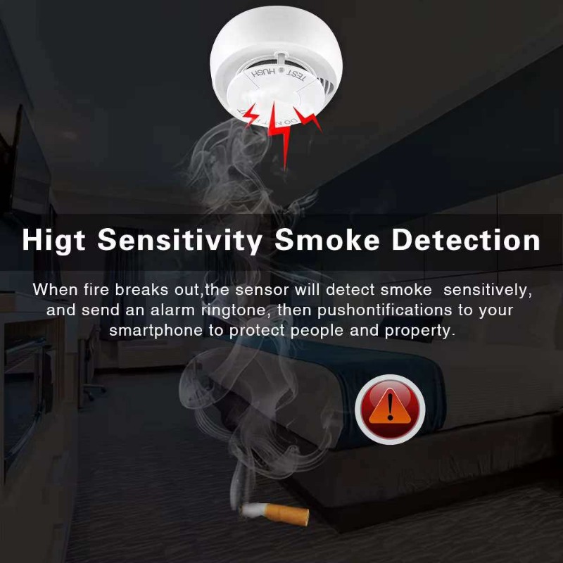 WLAN-Smart-Rauchmelder mit Ech – Smart Smoke Detector Bewertung und Preis
