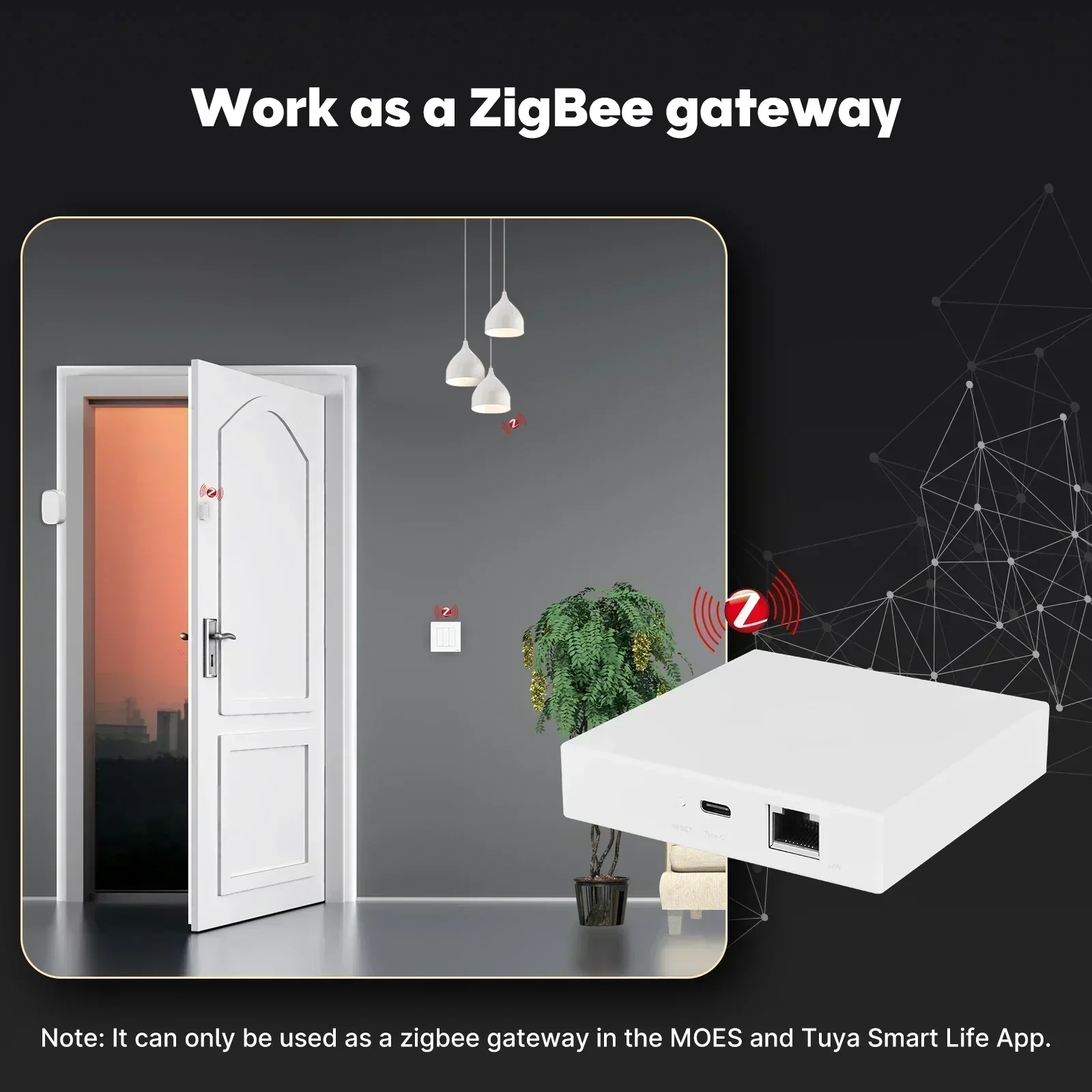 MOES Tuya Zigbee Matter Thread – Smart Home Gira Bewertung und Preis